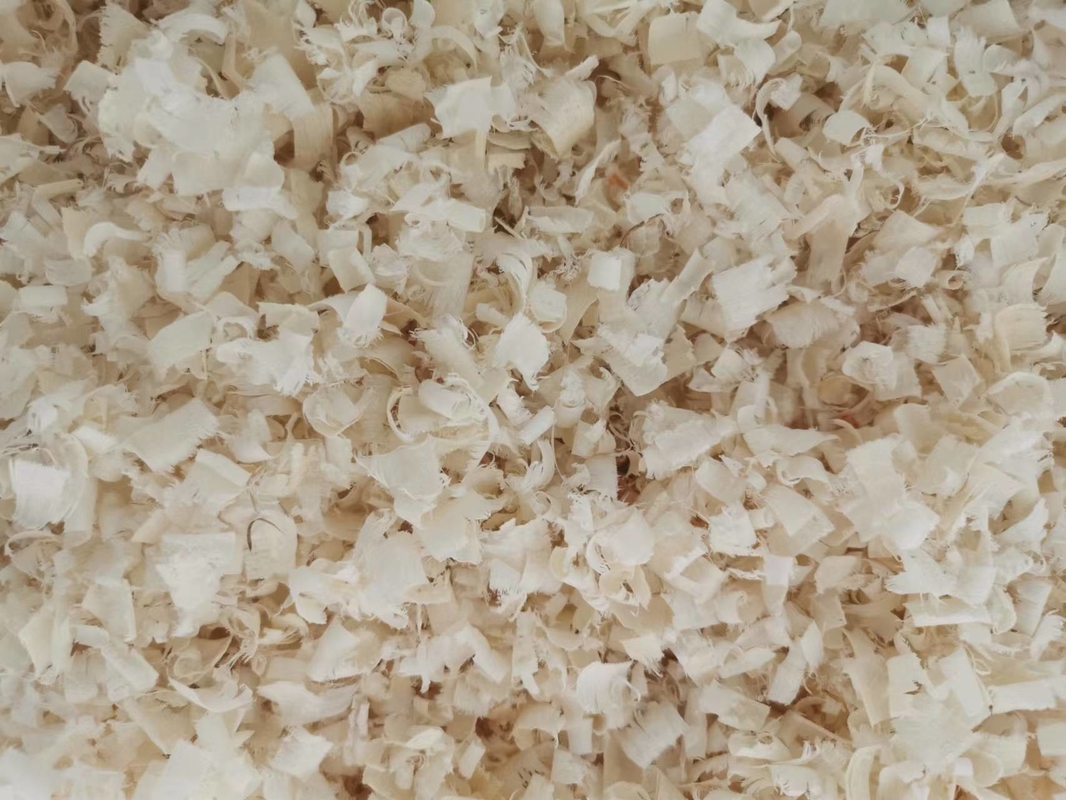 Comfortable Wood Shavings Sawdust Moisture Absorption Widely Used For Poultry