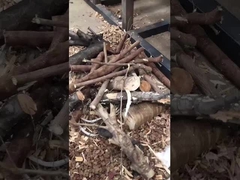 Déchiffreur à double puits, déchiffreur, déchiffreur de déchets de bois, déchiffreur de bûches, déchiffreur de biomasse